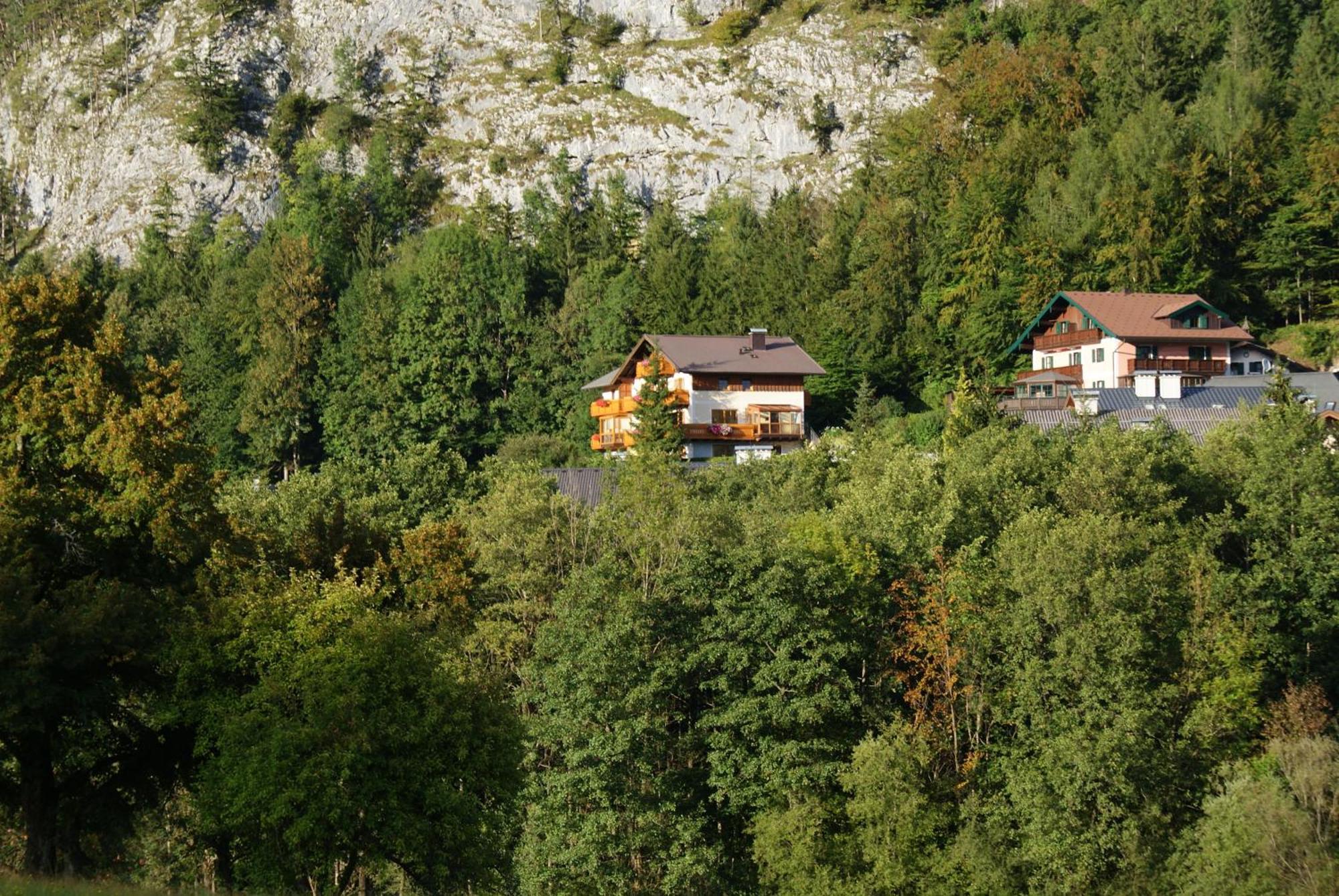 Haus Meissnitzer Fuschl am See Esterno foto